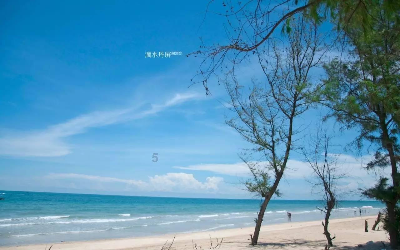 情感营销的成功案例-最新社区讨论和分享平台